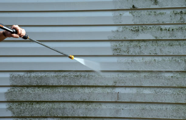 Professional Pressure washing in Remlap, AL